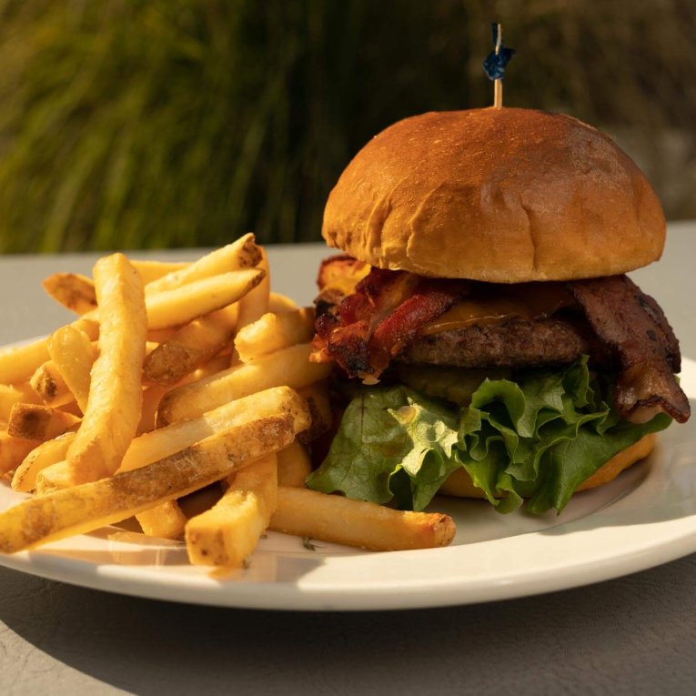 burger and fries on plate