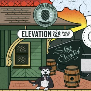 Elevation 120 pale ale